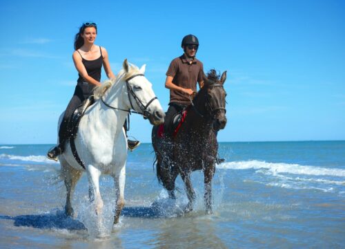 Pferde Reiten Strand & Wüste 1 oder 2 Stunden aus Hurghada