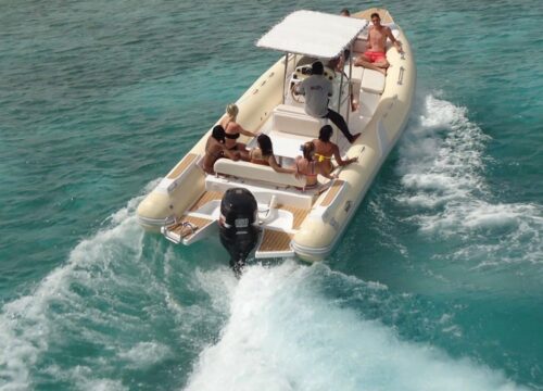 Delphin Ausflug mit privatem Speedboot & Schnorcheln aus Hurghada