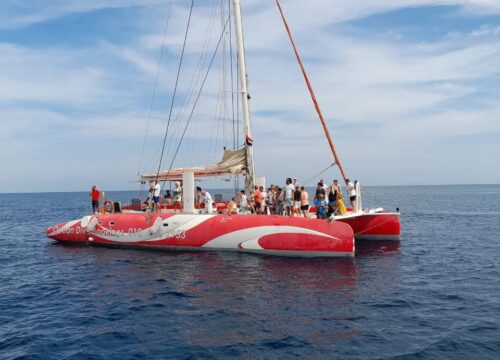 Ocean Diva Katamaran El Gouna (Delfinhaus)